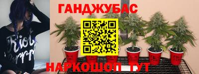 спайс Кунгур
